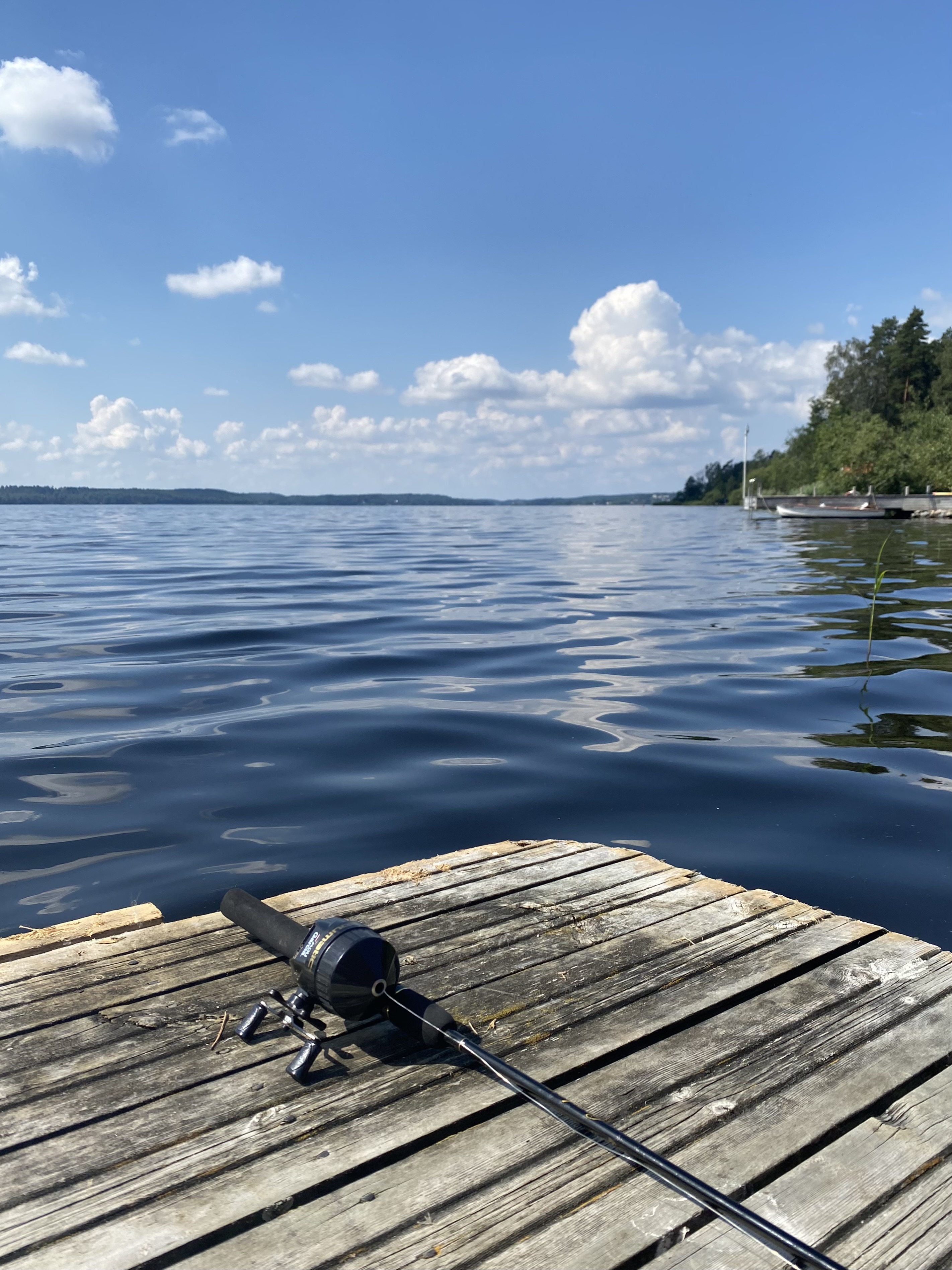 Vattennära natur vid stugorna